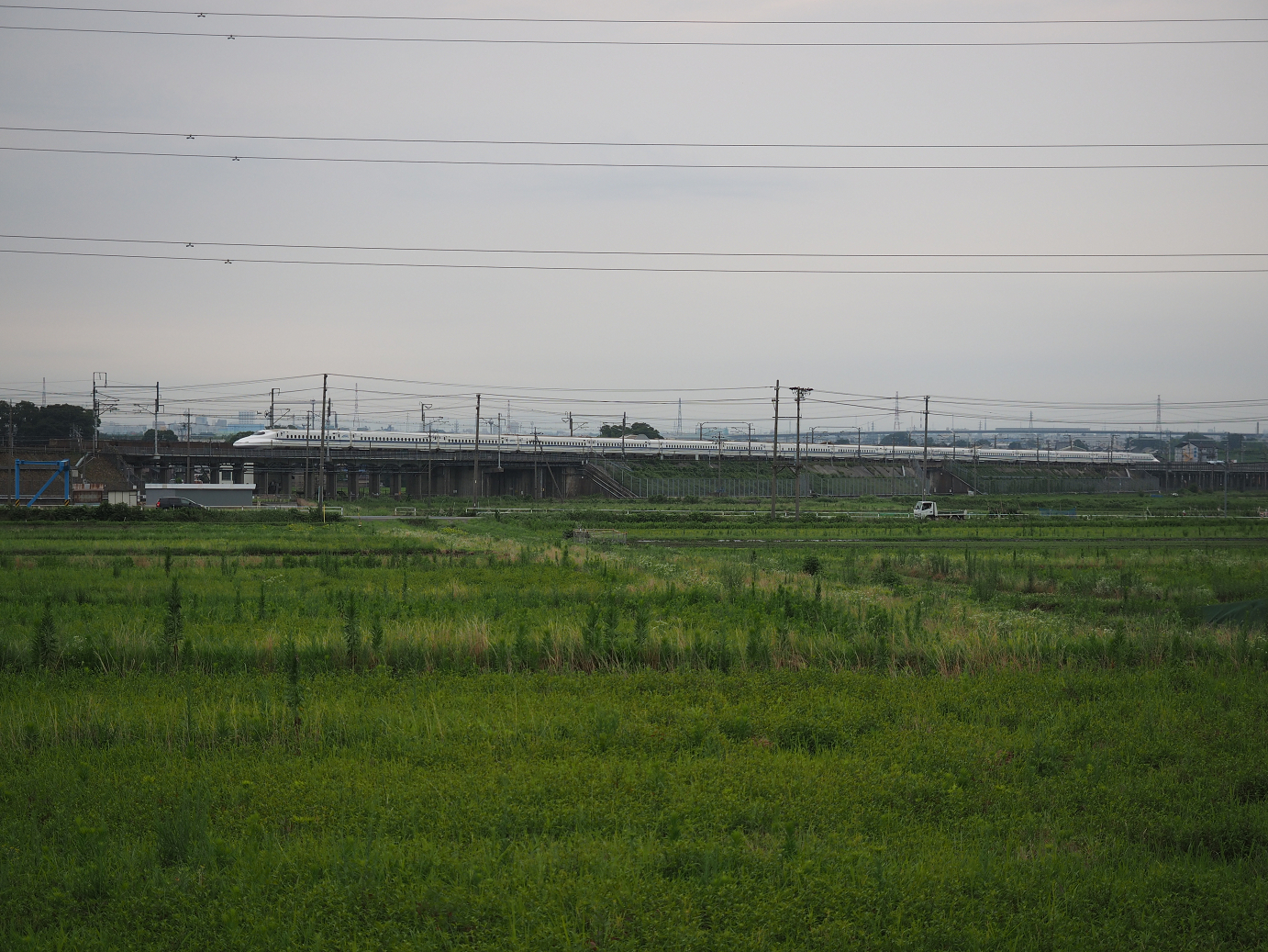 P7190090.jpg