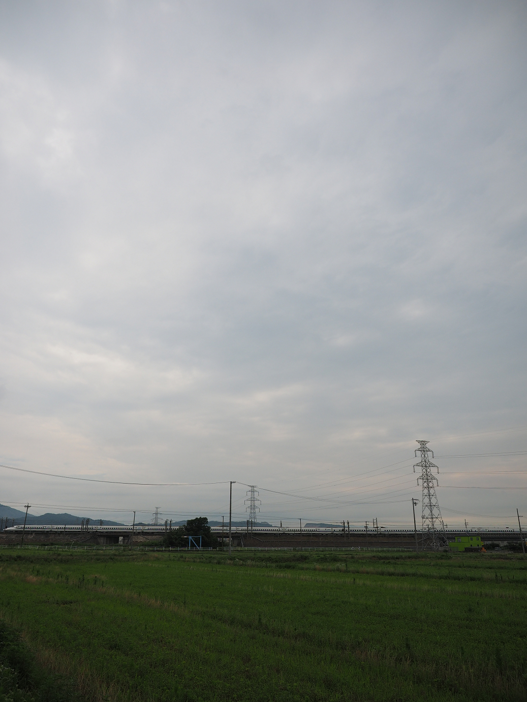 P7190092.jpg