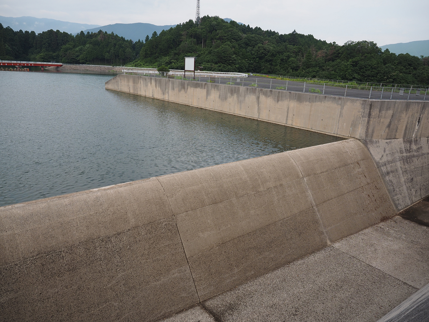 P7190102.jpg