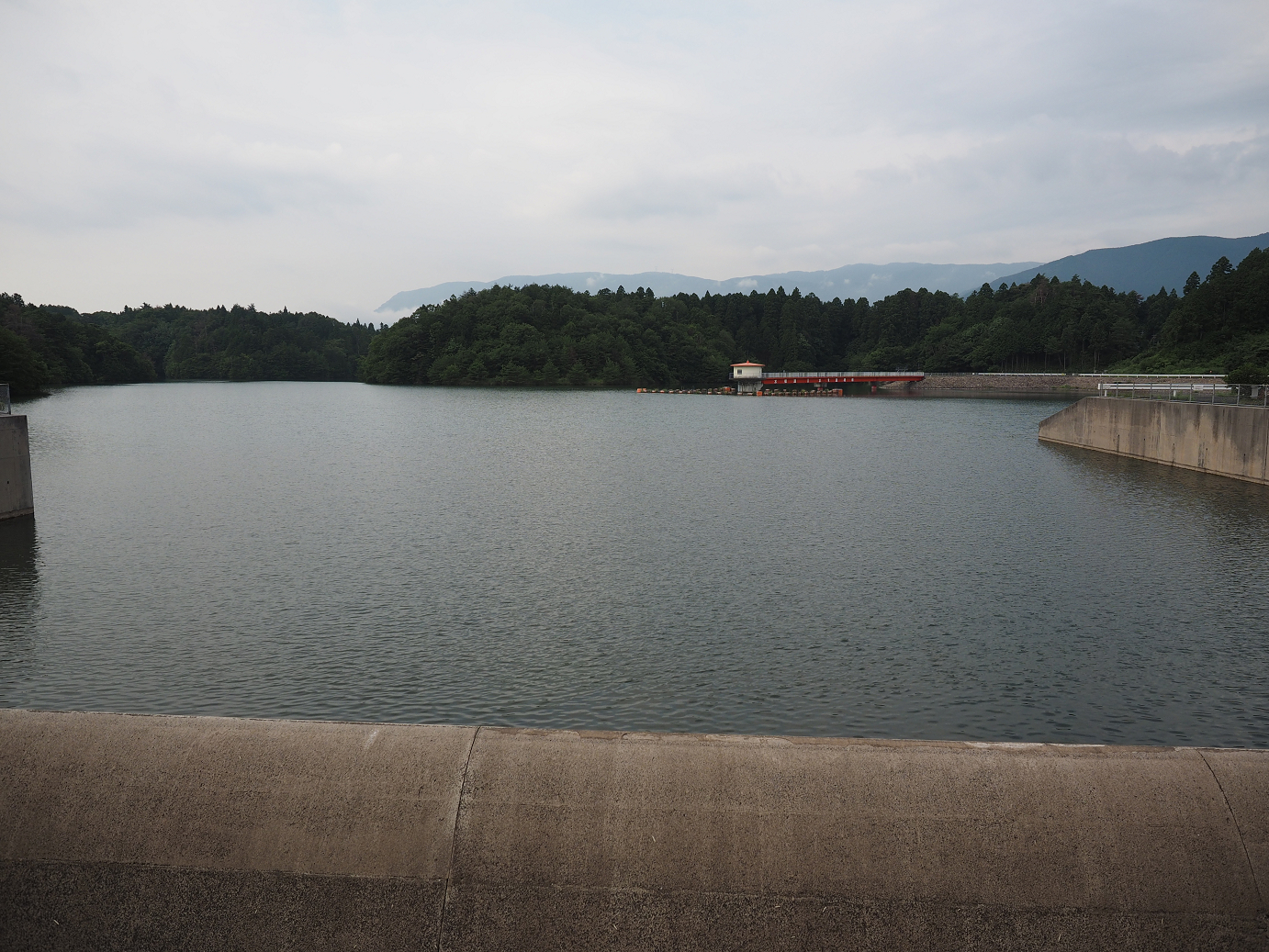 P7190103.jpg