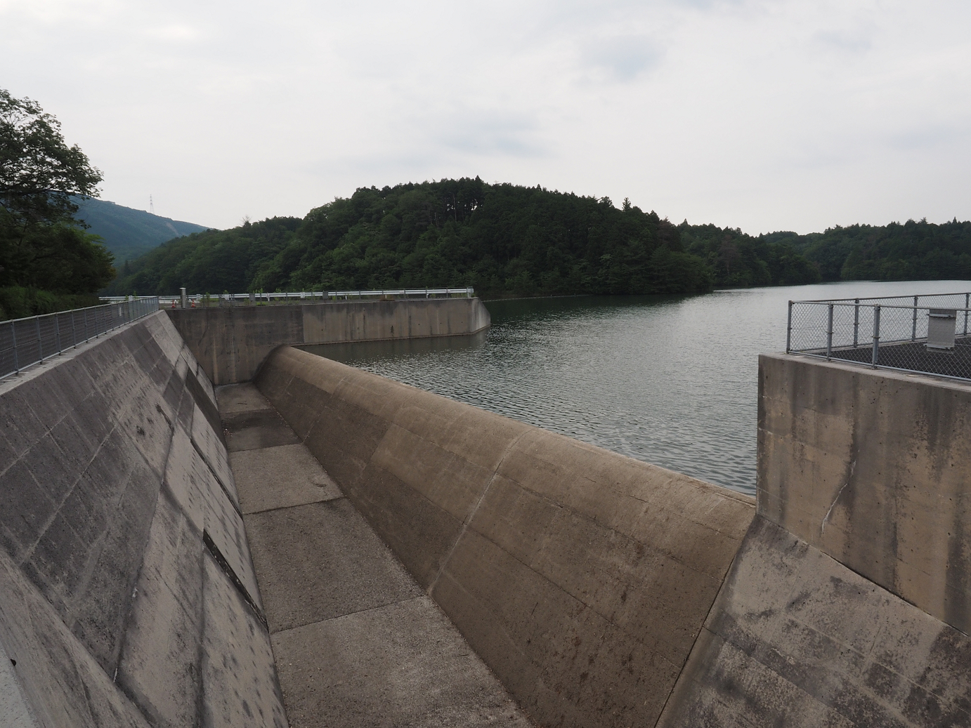 P7190110.jpg