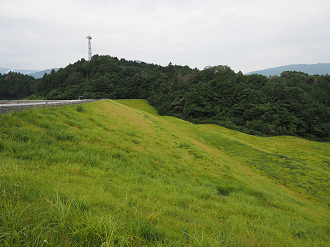 P7190114_thumb.png