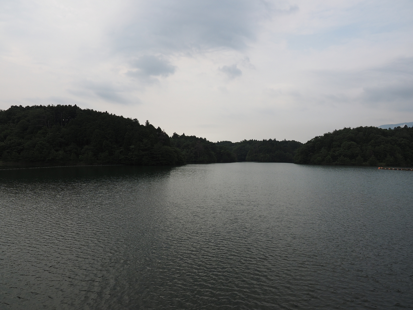 P7190115.jpg
