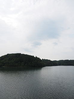 P7190116_thumb.png