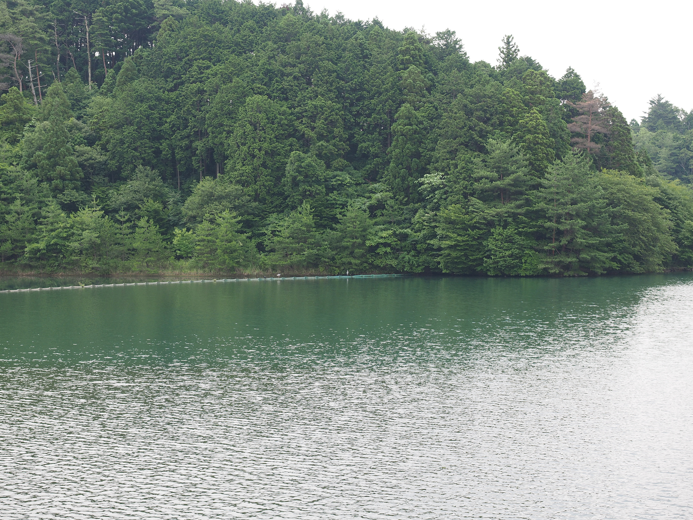 P7190117.jpg