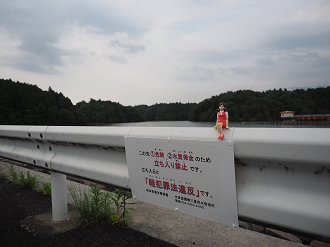 P7190126_thumb.png