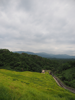 P7190135_thumb.png