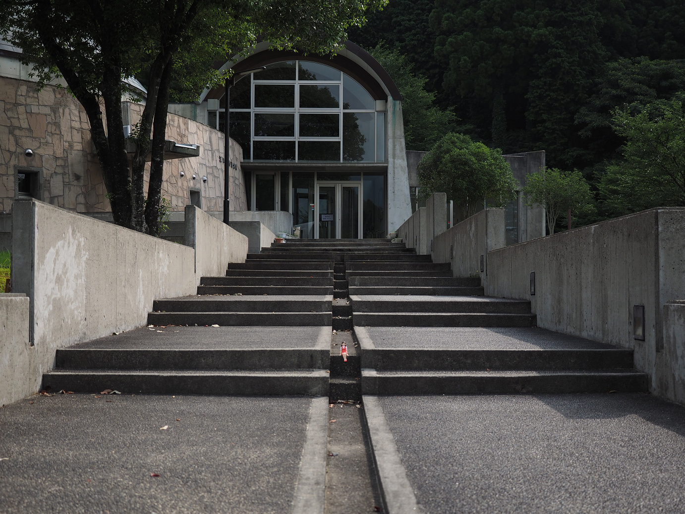 P7190151.jpg