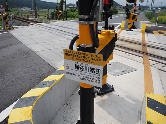 P7190158_thumb.png