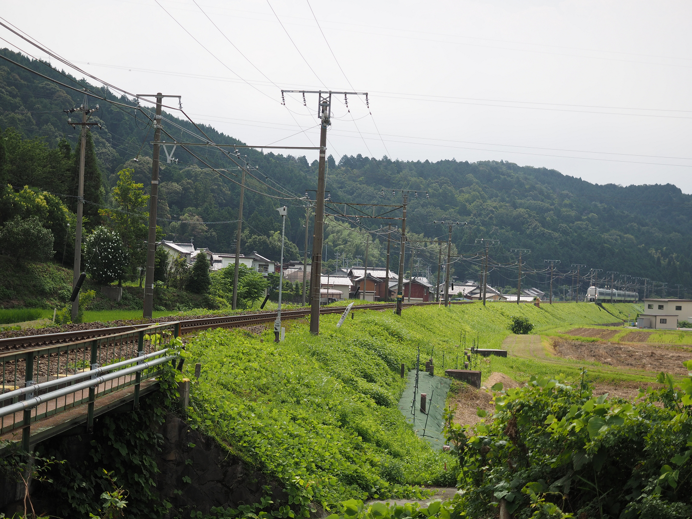 P7190161.jpg