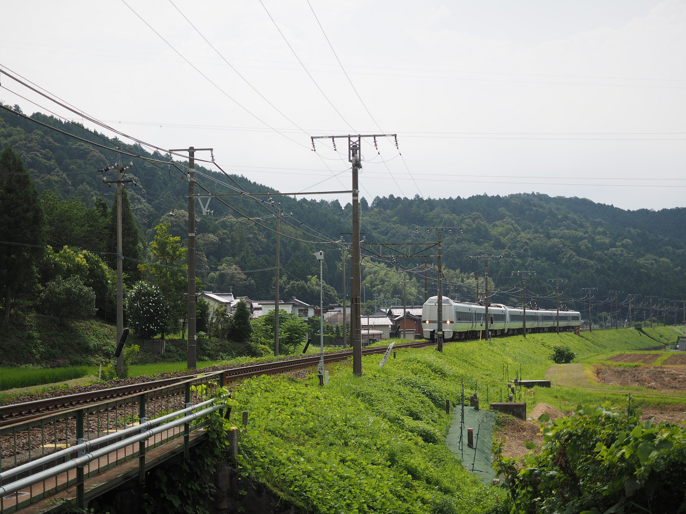 P7190166.jpg