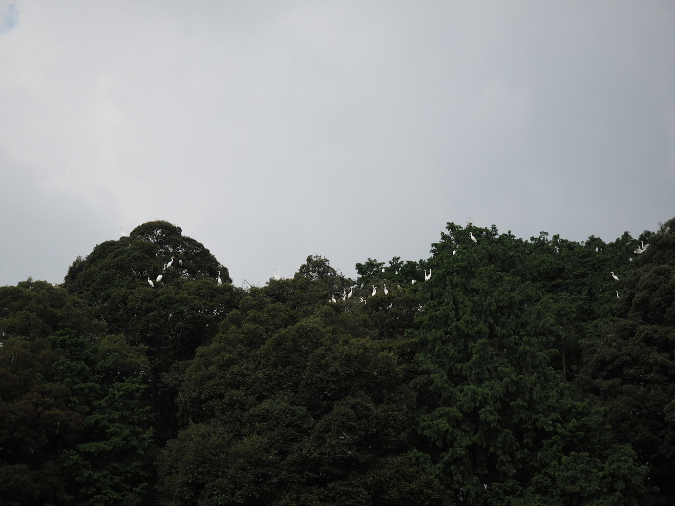 P7190203.jpg