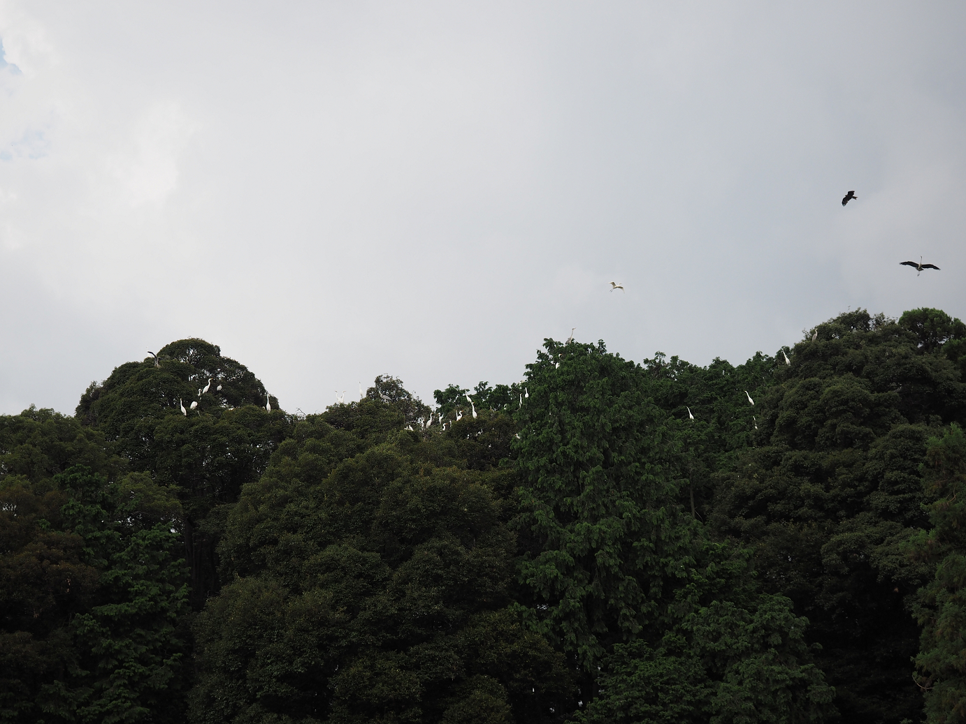 P7190212.jpg