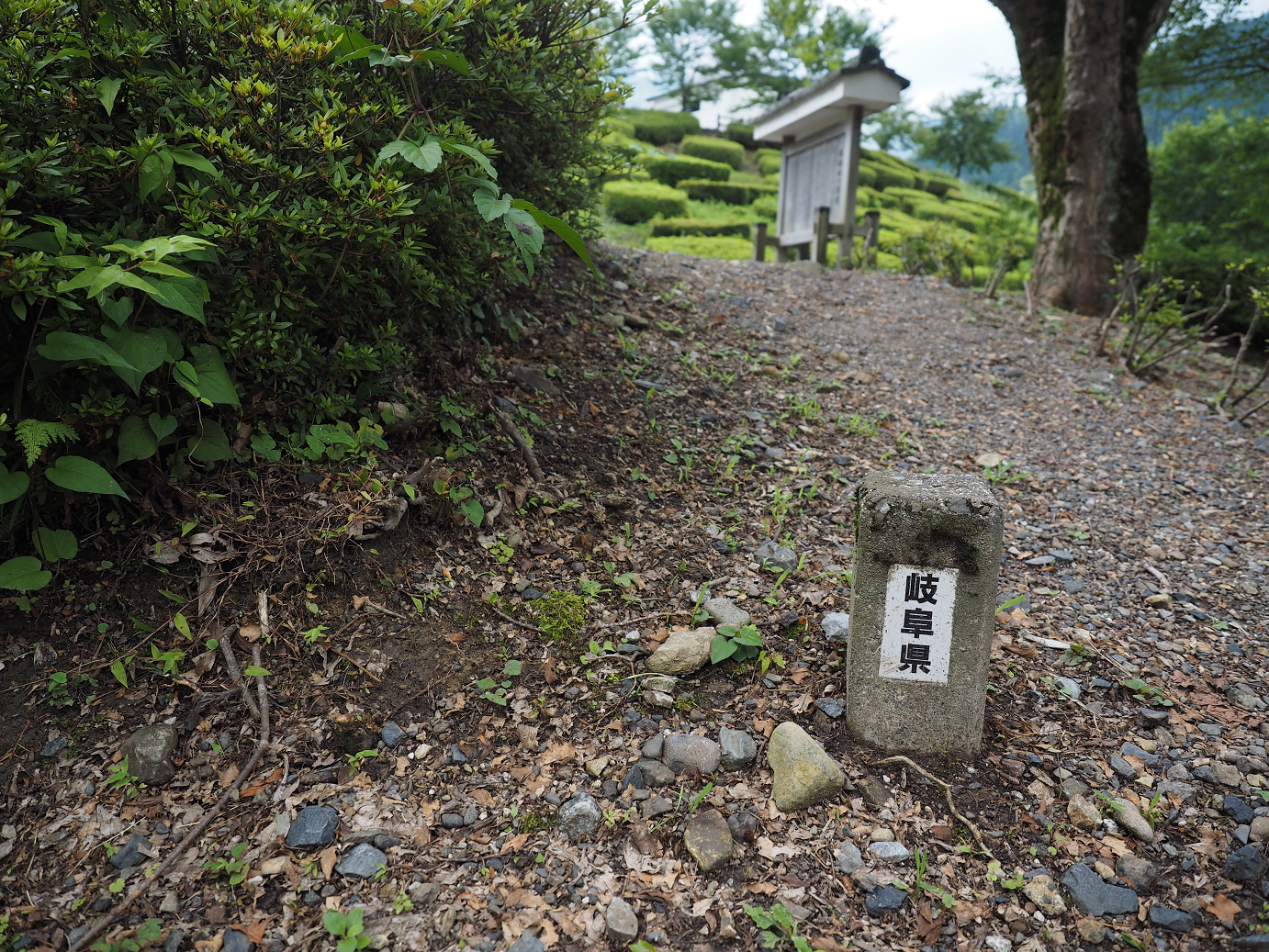 P7190260.jpg