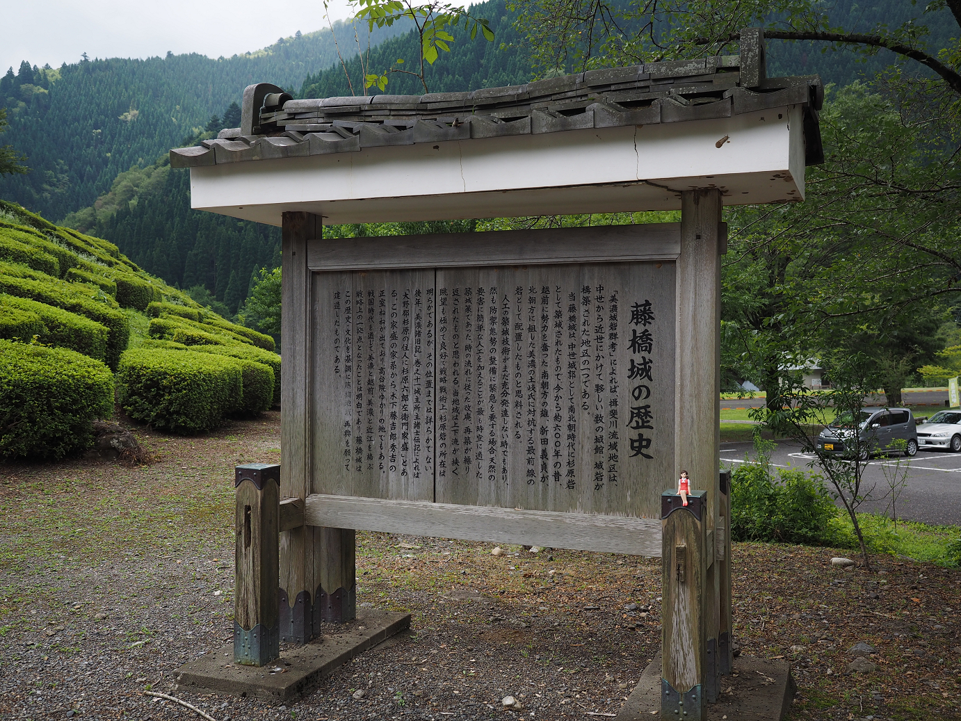 P7190275.jpg