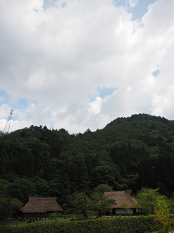 P7190284_thumb.png