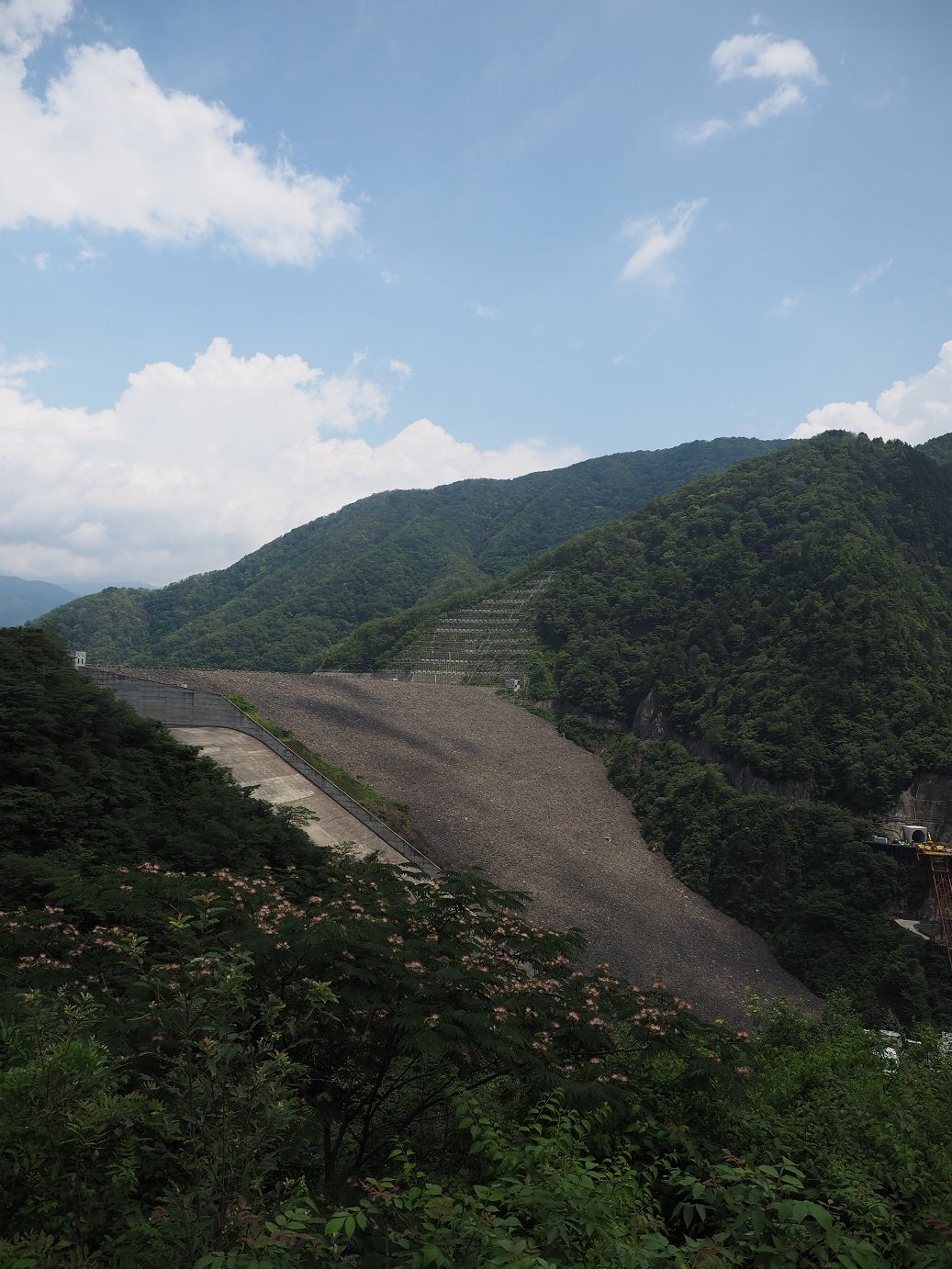 P7190291.jpg