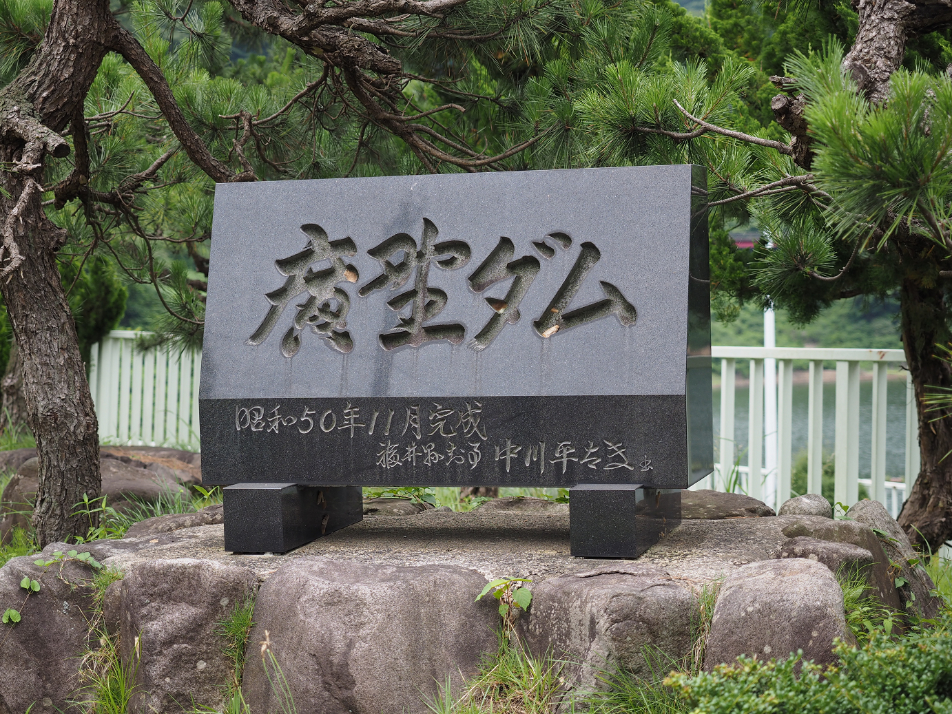 P7190390.jpg