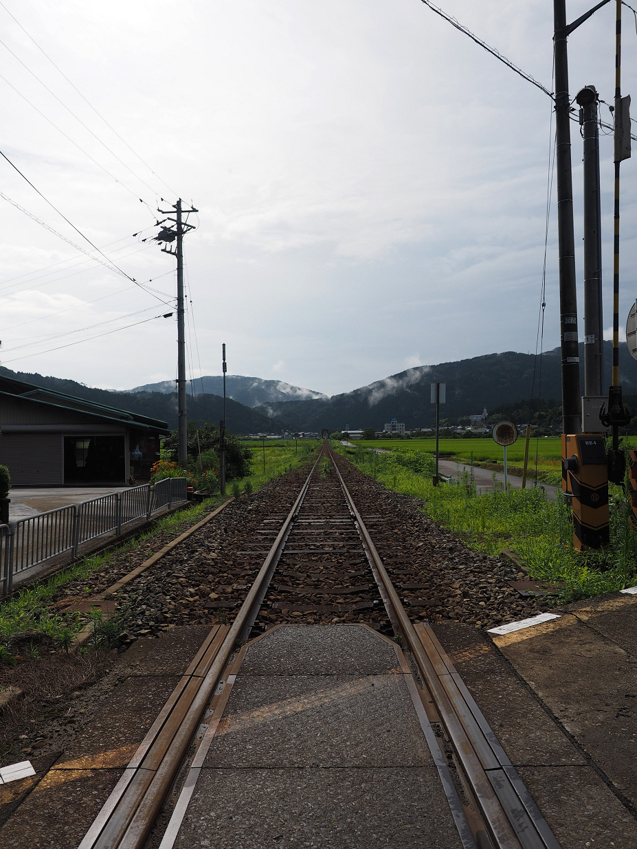 P7200008.jpg