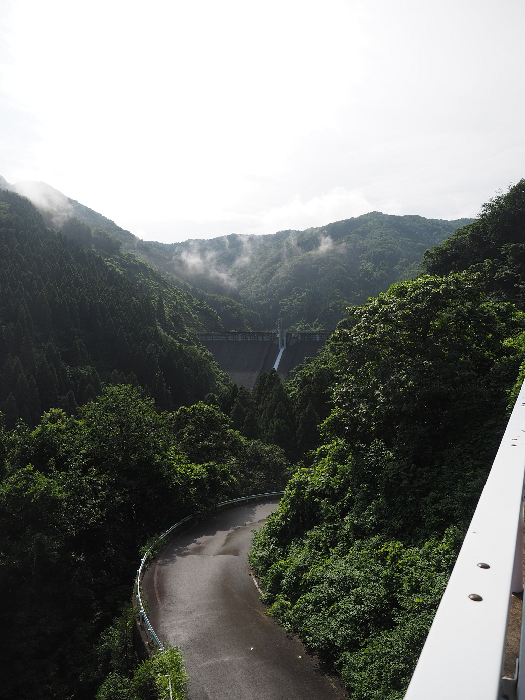 P7200010.jpg