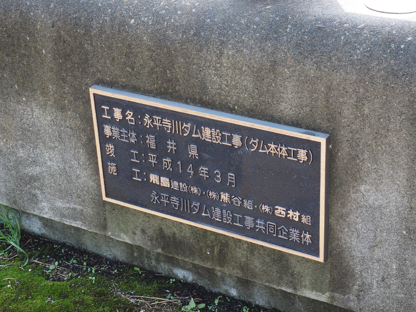 P7200031.jpg