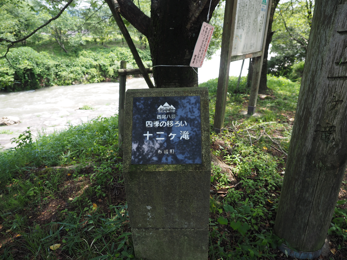P7200070.jpg