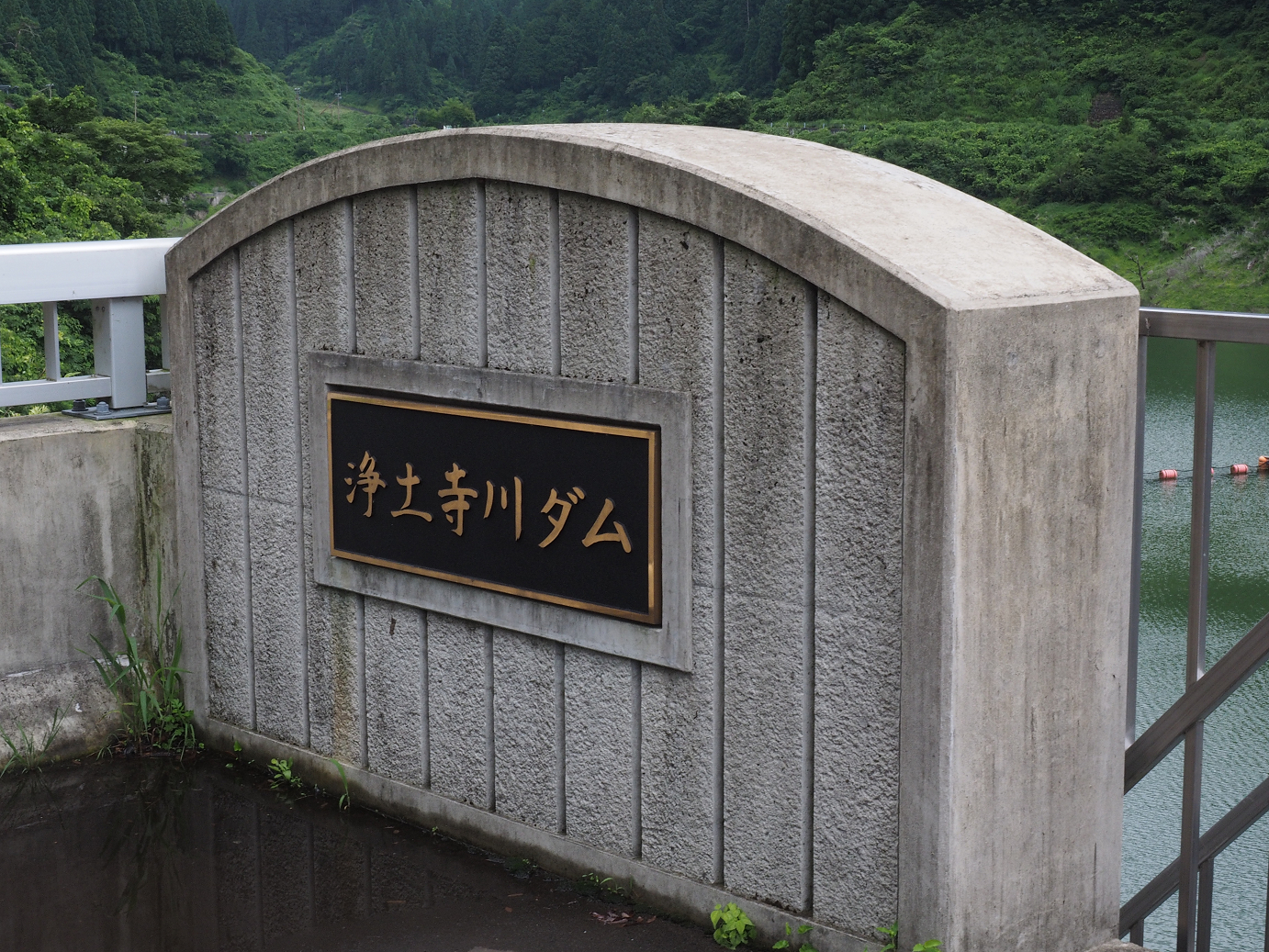 P7200141.jpg