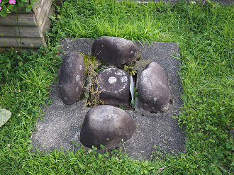 P7200341_thumb.png