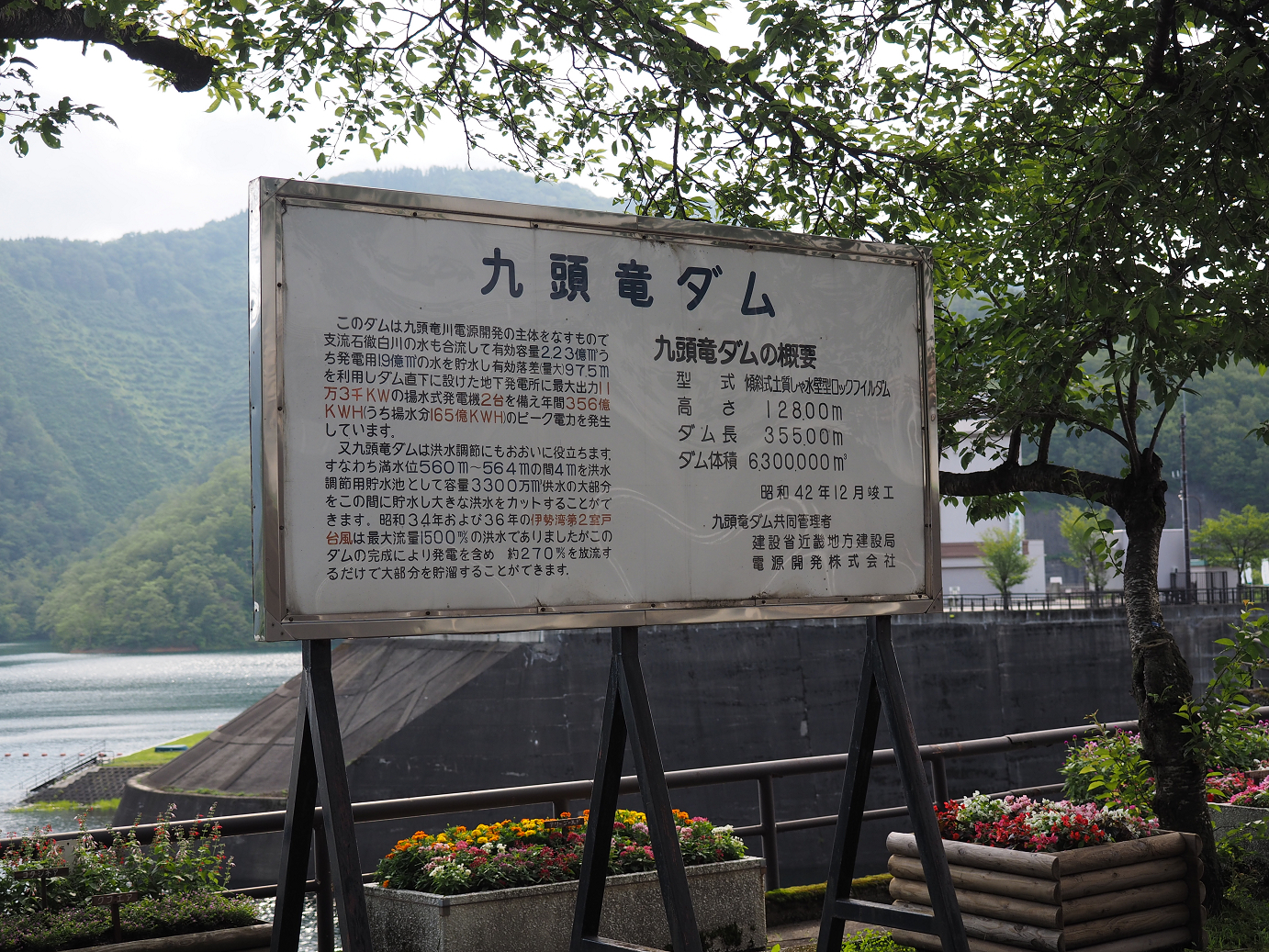 P7200345.jpg