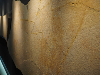P7210149_thumb.png