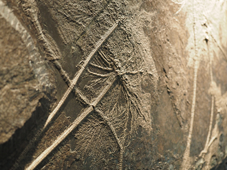 P7210154_thumb.png