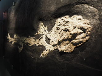 P7210166_thumb.png