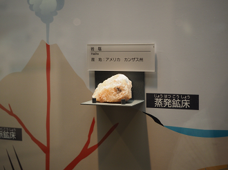 P7210246_thumb.png