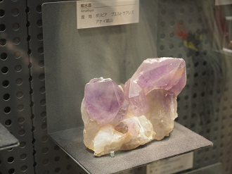 P7210253_thumb.png