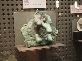 P7210254_thumb.png