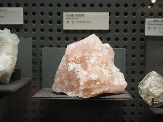 P7210256_thumb.png