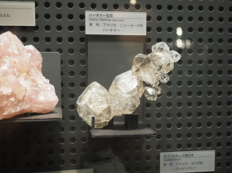 P7210257_thumb.png