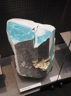P7210260_thumb.png