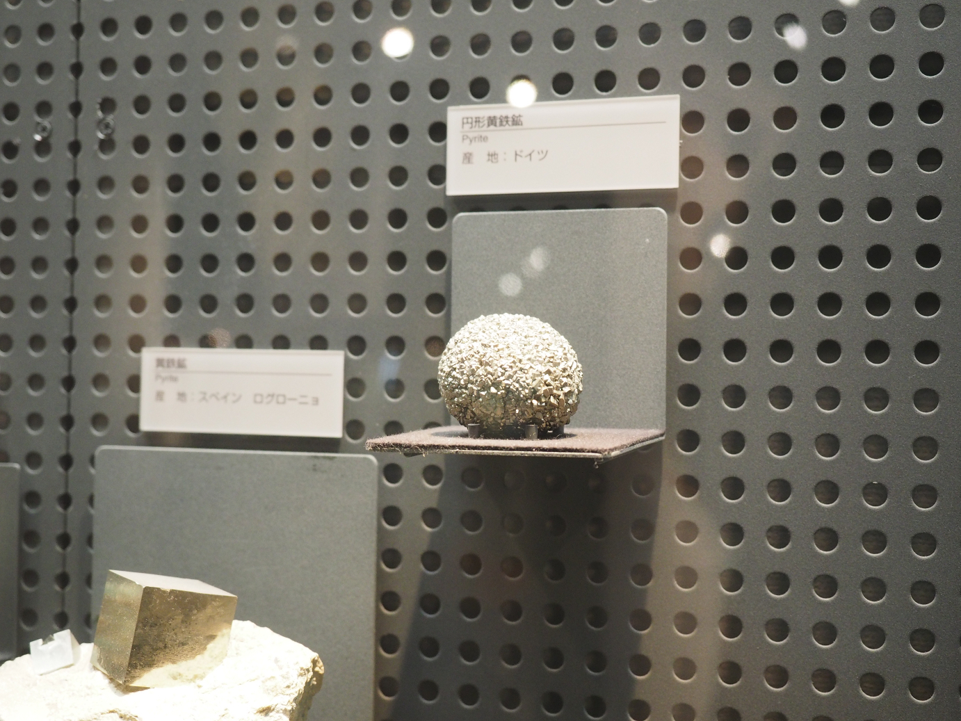 P7210262.jpg