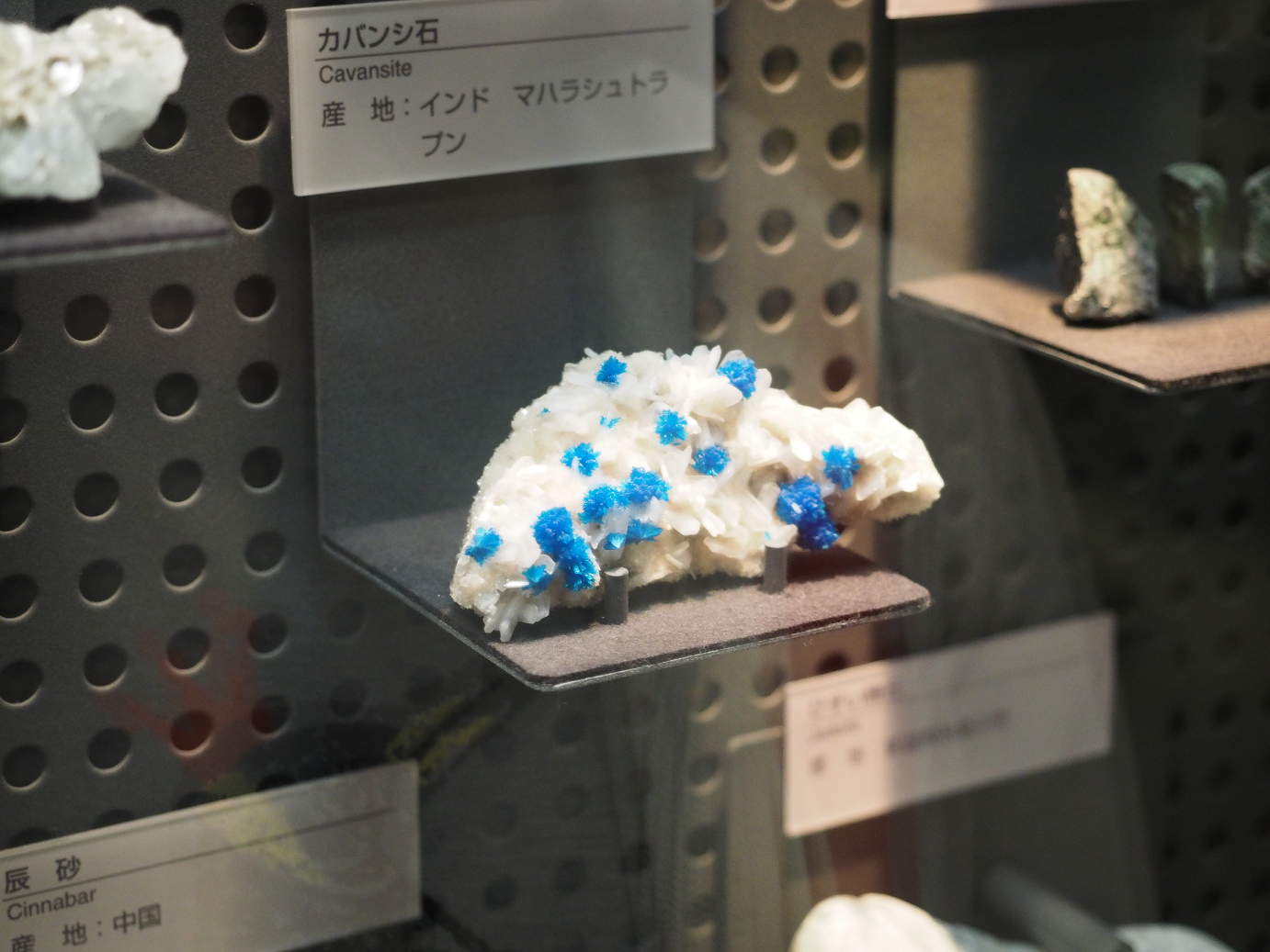 P7210267.jpg