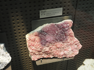 P7210269_thumb.png