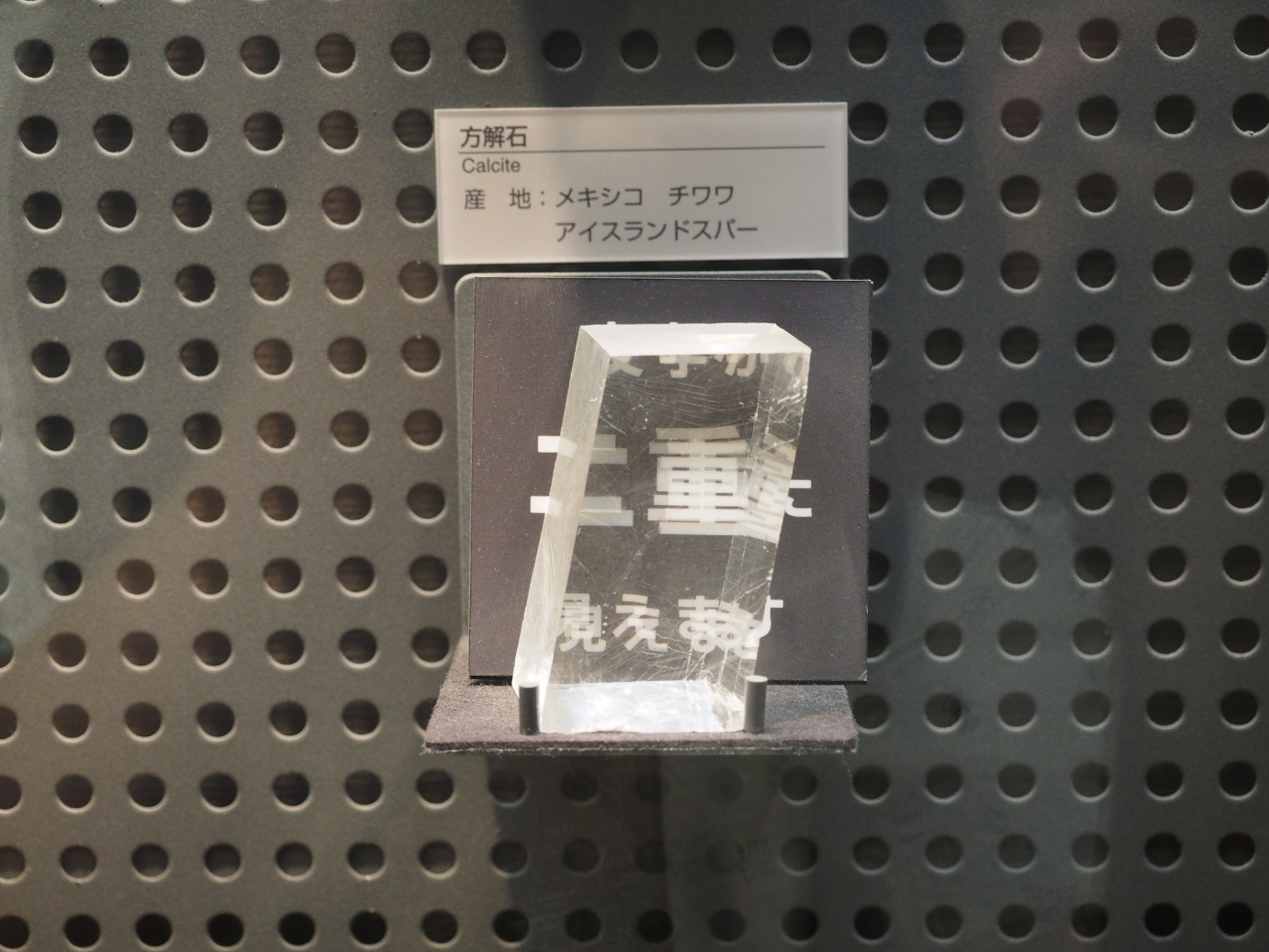 P7210274.jpg
