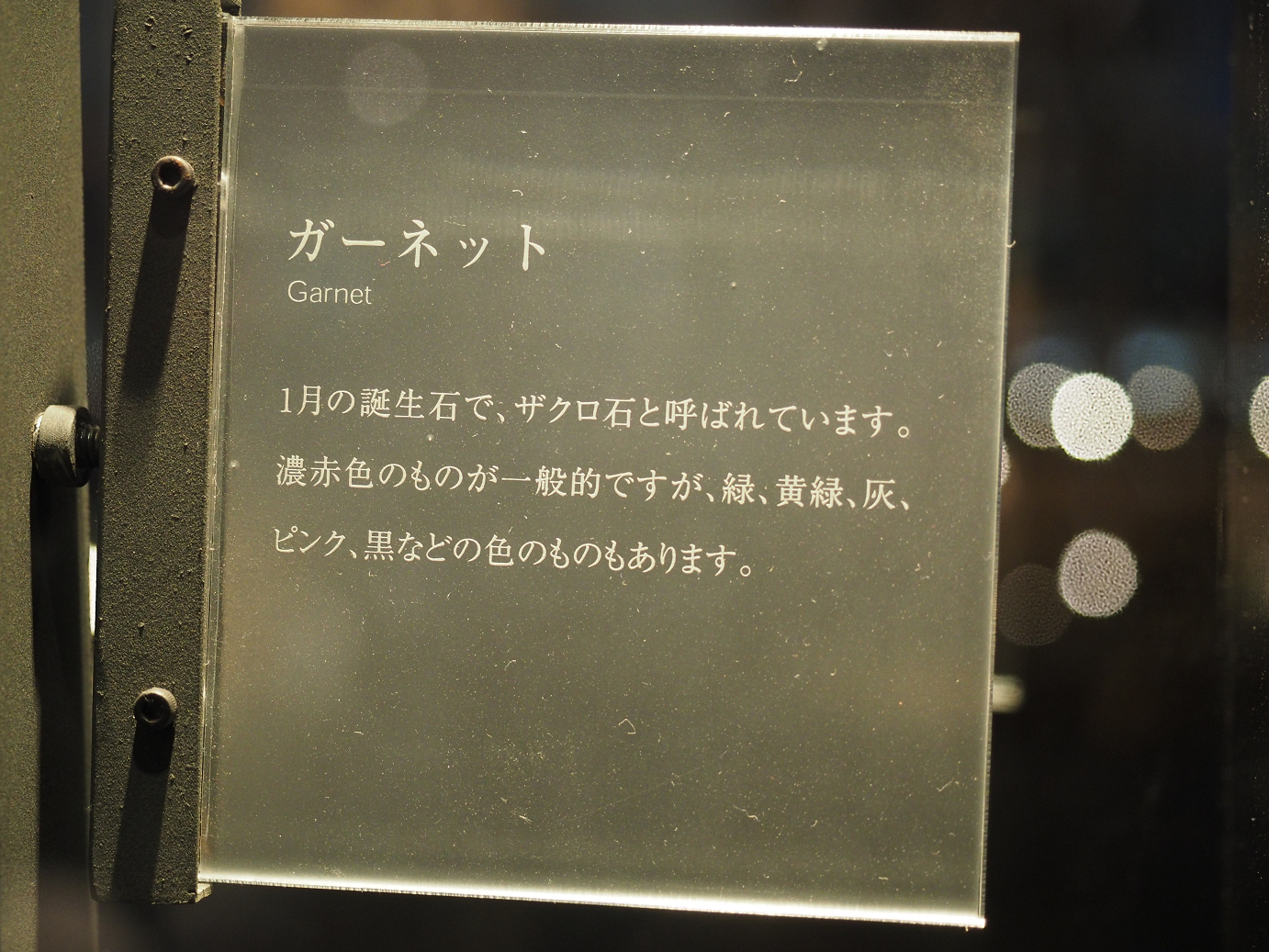 P7210290.jpg
