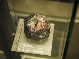 P7210292_thumb.png