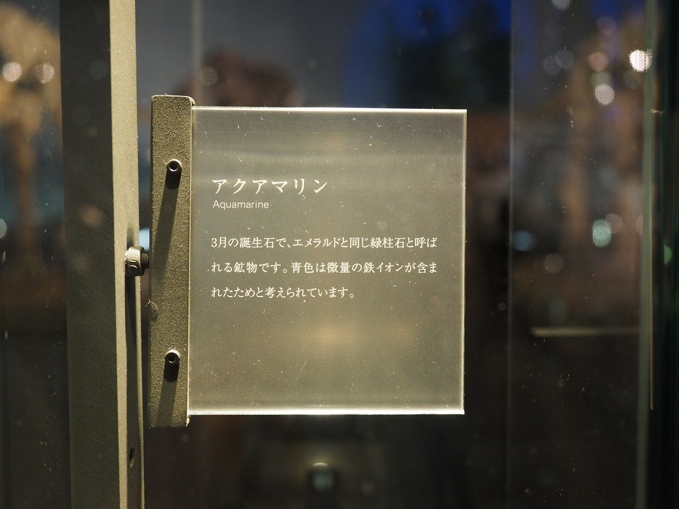 P7210297.jpg