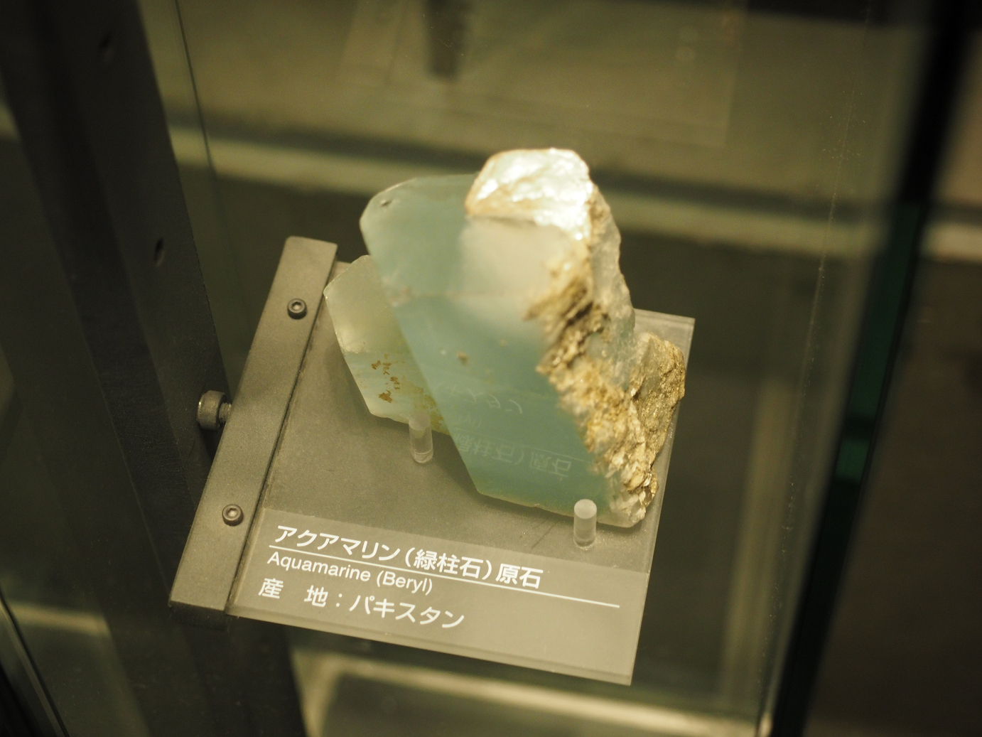 P7210299.jpg