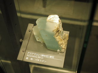 P7210299_thumb.png