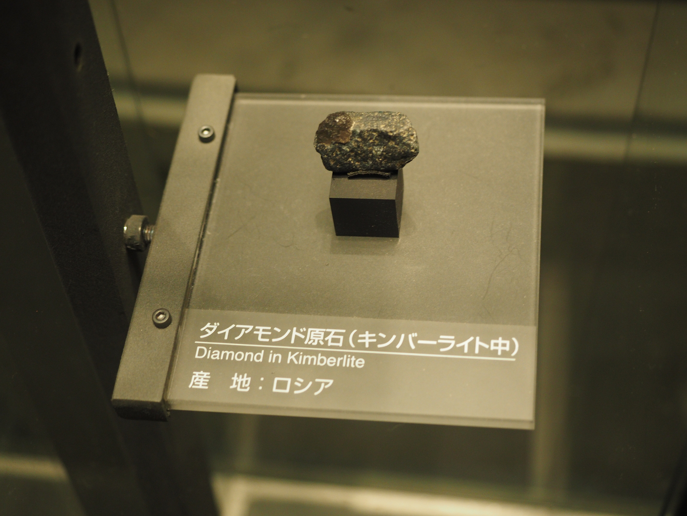 P7210303.jpg