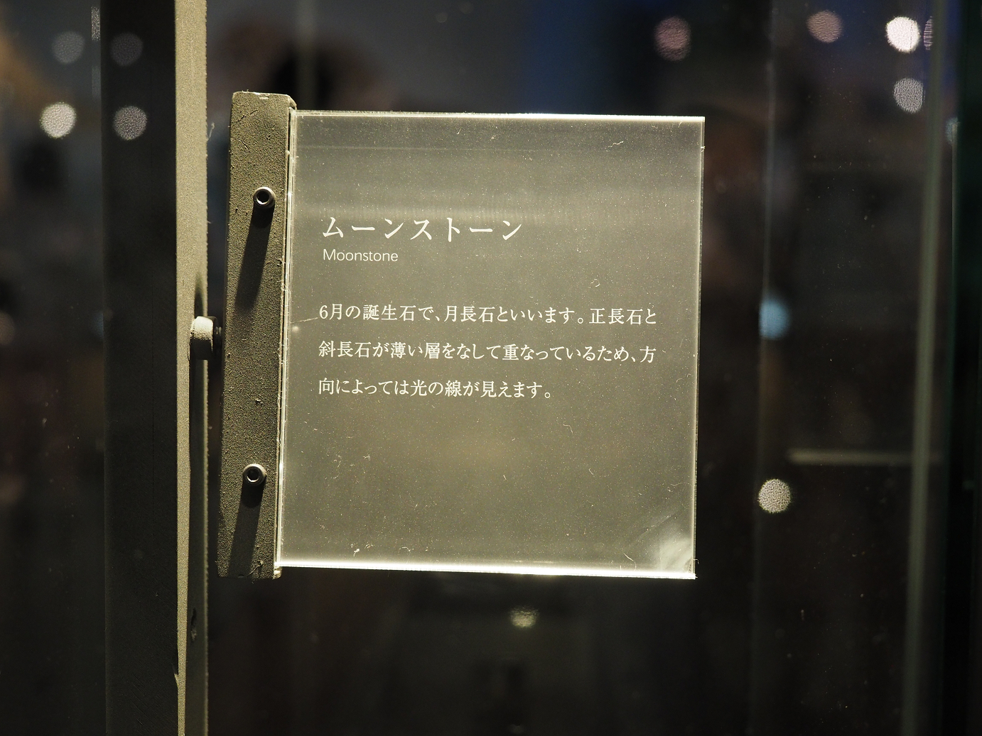 P7210307.jpg
