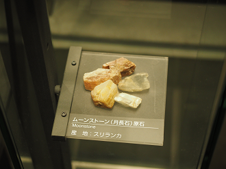 P7210309_thumb.png